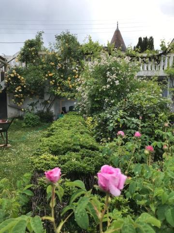 Un Paradis De Verdure En Plein Centre Ville Périgueux Exteriör bild